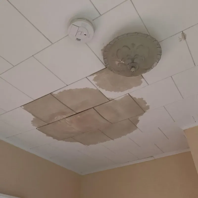 Ceiling Water Damage Repair in Coudersport, PA