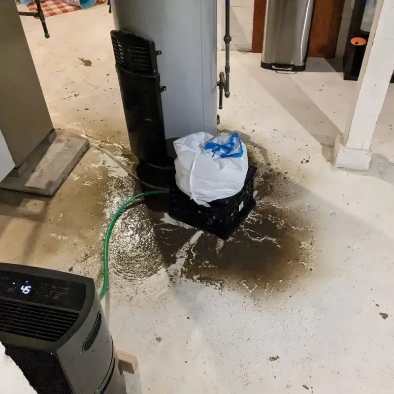 Sewage Backup Cleanup Service in Coudersport, PA